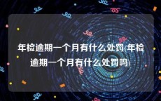 年检逾期一个月有什么处罚(年检逾期一个月有什么处罚吗)