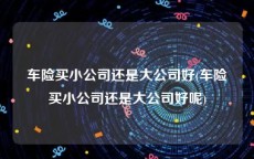 车险买小公司还是大公司好(车险买小公司还是大公司好呢)