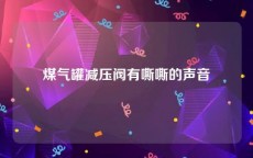 煤气罐减压阀有嘶嘶的声音