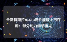 全新特斯拉Model 3高性能版上市在即：部分动力细节曝光