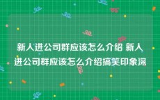 新人进公司群应该怎么介绍 新人进公司群应该怎么介绍搞笑印象深