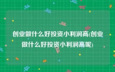 创业做什么好投资小利润高(创业做什么好投资小利润高呢)