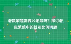 老鼠繁殖需要公老鼠吗？探讨老鼠繁殖中的性别比例问题