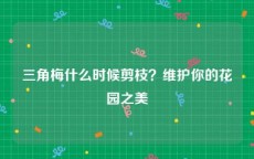 三角梅什么时候剪枝？维护你的花园之美