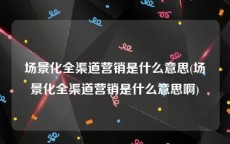 场景化全渠道营销是什么意思(场景化全渠道营销是什么意思啊)