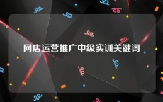 网店运营推广中级实训关键词