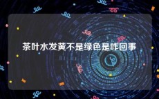 茶叶水发黄不是绿色是咋回事