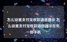 怎么设置支付宝收款语音提示 怎么设置支付宝收款语音提示在另一部手机