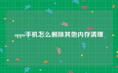 oppo手机怎么删除其他内存清理