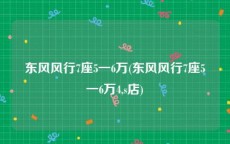 东风风行7座5一6万(东风风行7座5一6万4,s店)