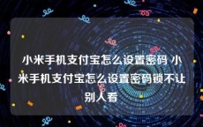 小米手机支付宝怎么设置密码 小米手机支付宝怎么设置密码锁不让别人看