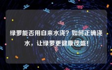 绿萝能否用自来水浇？如何正确浇水，让绿萝更健康茂盛！