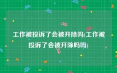 工作被投诉了会被开除吗(工作被投诉了会被开除吗吗)