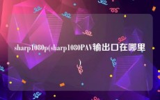 sharp1080p(sharp1080PAV输出口在哪里)