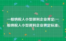 一般纳税人小型微利企业界定(一般纳税人小型微利企业界定标准)