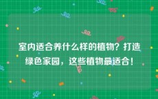 室内适合养什么样的植物？打造绿色家园，这些植物最适合！