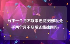 分手一个月不联系还能挽回吗(分手两个月不联系还能挽回吗)