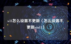 w11怎么设置不更新〈怎么设置不更新win11〉