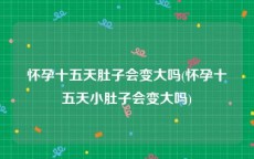 怀孕十五天肚子会变大吗(怀孕十五天小肚子会变大吗)