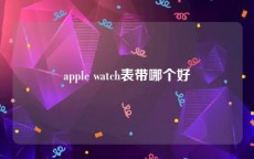 apple watch表带哪个好