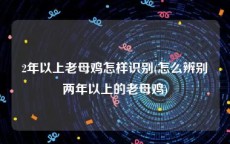 2年以上老母鸡怎样识别(怎么辨别两年以上的老母鸡)