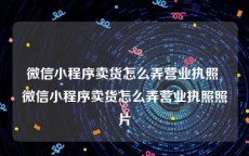 微信小程序卖货怎么弄营业执照 微信小程序卖货怎么弄营业执照照片