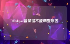 thinkpad音量键不能调整原因