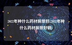 2022年种什么药材前景好(2022年种什么药材前景好啊)