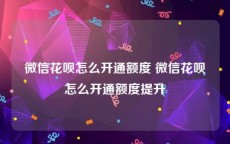 微信花呗怎么开通额度 微信花呗怎么开通额度提升