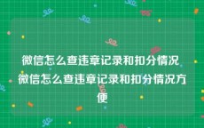 微信怎么查违章记录和扣分情况 微信怎么查违章记录和扣分情况方便