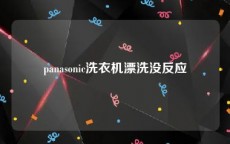 panasonic洗衣机漂洗没反应