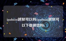 ipadmini越狱可以吗(ipadmini越狱可以下载微信吗)