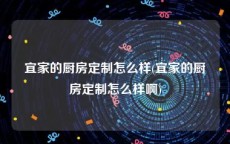 宜家的厨房定制怎么样(宜家的厨房定制怎么样啊)