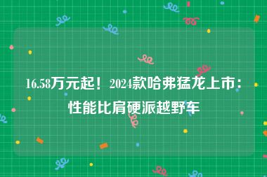 16.58万元起！2024款哈弗猛龙上市：性能比肩硬派越野车