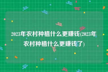 2023年农村种植什么更赚钱(2023年农村种植什么更赚钱了)