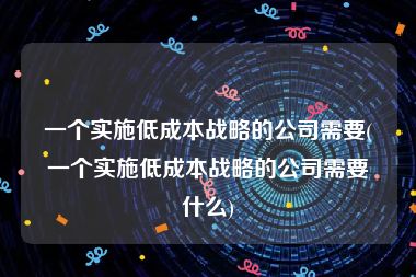 一个实施低成本战略的公司需要(一个实施低成本战略的公司需要什么)