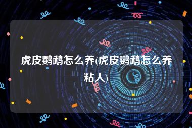 虎皮鹦鹉怎么养(虎皮鹦鹉怎么养粘人)