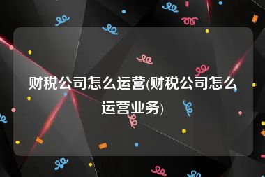 财税公司怎么运营(财税公司怎么运营业务)