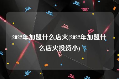 2022年加盟什么店火(2022年加盟什么店火投资小)