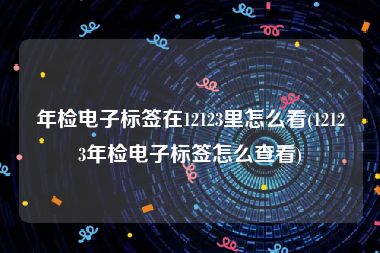 年检电子标签在12123里怎么看(12123年检电子标签怎么查看)