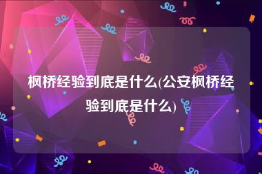 枫桥经验到底是什么(公安枫桥经验到底是什么)