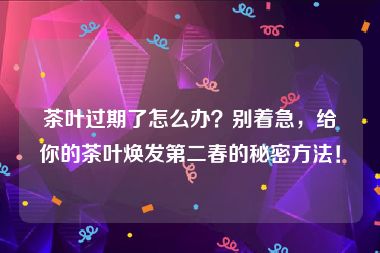 茶叶过期了怎么办？别着急，给你的茶叶焕发第二春的秘密方法！