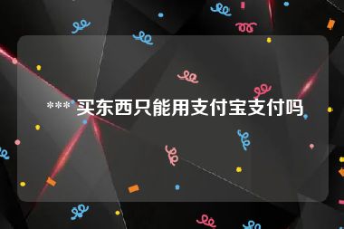  *** 买东西只能用支付宝支付吗