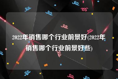 2022年销售哪个行业前景好(2022年销售哪个行业前景好些)