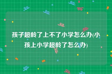 孩子超龄了上不了小学怎么办(小孩上小学超龄了怎么办)