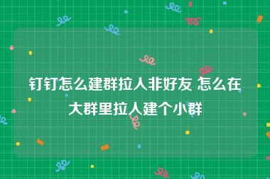 钉钉怎么建群拉人非好友 怎么在大群里拉人建个小群