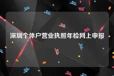 深圳个体户营业执照年检网上申报