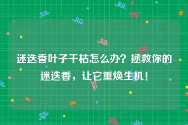 迷迭香叶子干枯怎么办？拯救你的迷迭香，让它重焕生机！