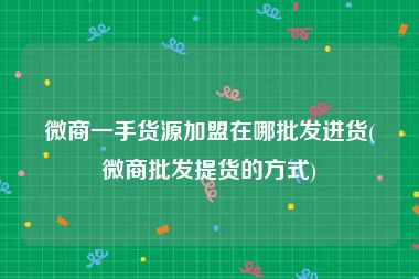 微商一手货源加盟在哪批发进货(微商批发提货的方式)