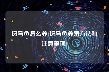 斑马鱼怎么养(斑马鱼养殖方法和注意事项)